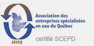 aeseq_logo aeseq_logo